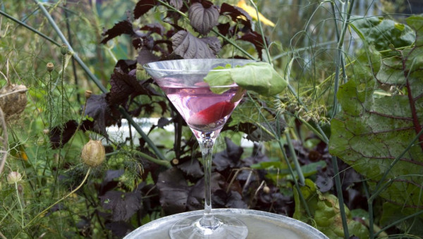The Cocktail Gardener residency at Blush