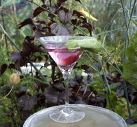 The Cocktail Gardener residency at Blush