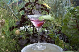 cocktail gardener 2