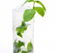 A Guide to the Mojito Cocktail